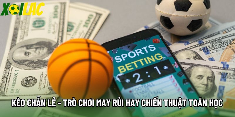 Kèo Chẵn Lẻ - Trò Chơi May Rủi Hay Chiến Thuật Toán Học