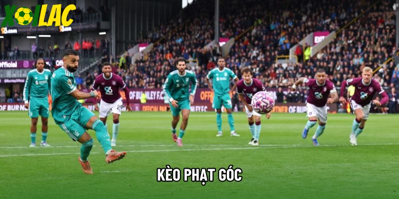Kèo Phạt Góc - Bí Quyết Soi Kèo Cược Góc Hiệu Quả Nhất Tại Xoilac
